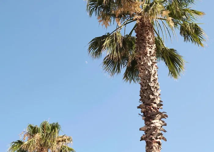فندق California 2*